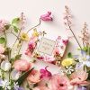 AERIN vislabāk pārdoto aromātu atklāšanas komplekts