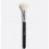 Dior Backstage Blush Brush Brush N°16