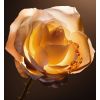 Dior Prestige Le Nectar Premier komplekts