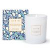 AERIN Vidusjūras sausserža aromātiskā svece