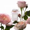AERIN Rose de Grasse Pour Filles Tualetes ūdens